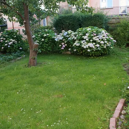 Pokoje Goscinne Lavenda * Mielno (Koszalin)